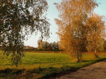 IMG-20241023-WA0000