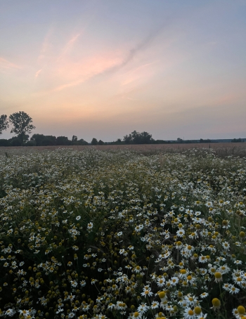 IMG_6745.jpeg