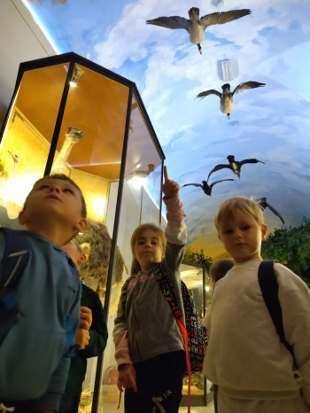 WhatsApp Image 2025-09-26 at 20.30.59.jpeg