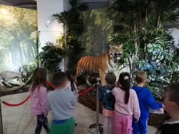 WhatsApp Image 2025-09-26 at 20.57.20(2).jpeg