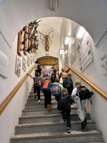 WhatsApp Image 2025-09-26 at 20.30.52.jpeg