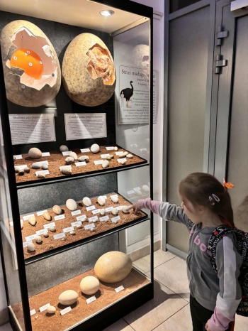 WhatsApp Image 2025-09-26 at 20.30.55(1).jpeg