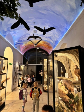 WhatsApp Image 2025-09-26 at 20.30.55(2).jpeg