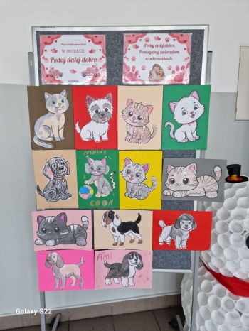 WhatsApp Image 2026-02-16 at 19.21.08.jpeg