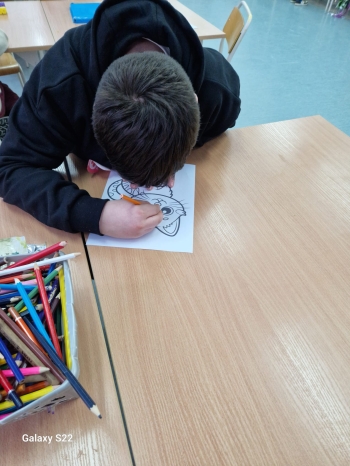 WhatsApp Image 2026-02-16 at 19.21.10.jpeg