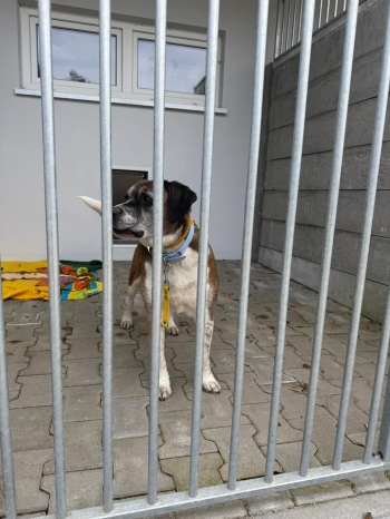 WhatsApp Image 2026-03-10 at 08.24.52.jpeg