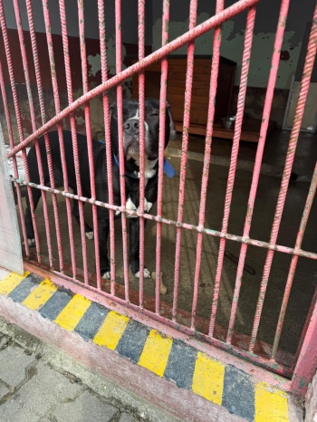 WhatsApp Image 2026-03-10 at 08.24.52(1).jpeg