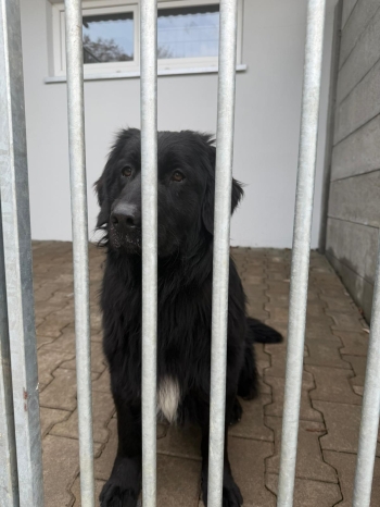 WhatsApp Image 2026-03-10 at 08.24.51(1).jpeg