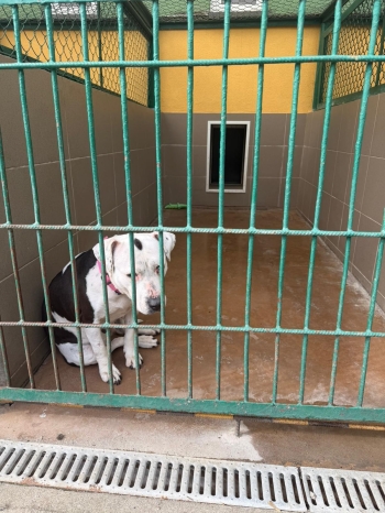 WhatsApp Image 2026-03-10 at 08.24.47.jpeg