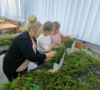 WhatsApp Image 2026-03-24 at 17.35.51(2).jpeg