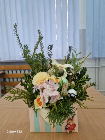 WhatsApp Image 2026-03-24 at 17.35.53(2).jpeg