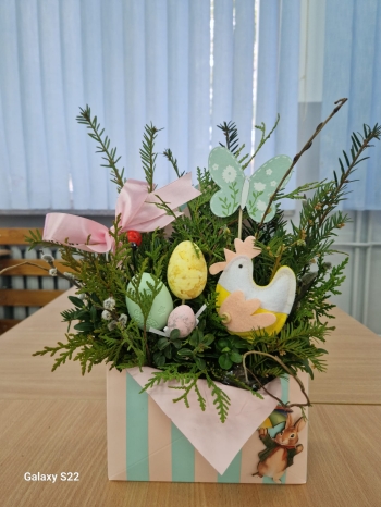 WhatsApp Image 2026-03-24 at 17.35.54(2).jpeg