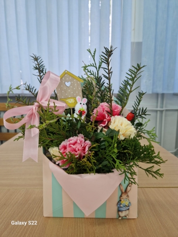 WhatsApp Image 2026-03-24 at 17.35.55.jpeg