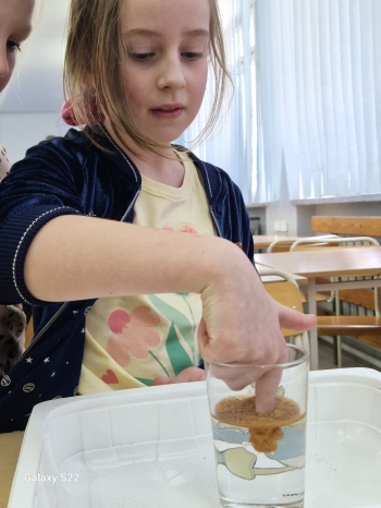 WhatsApp Image 2026-03-23 at 16.25.31.jpeg