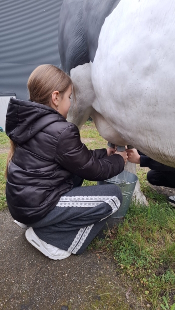 WhatsApp Image 2026-04-22 at 20.19.47.jpeg