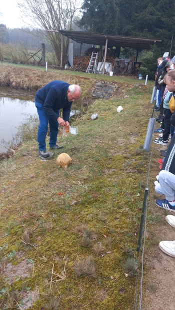 WhatsApp Image 2026-04-22 at 20.27.35(1).jpeg