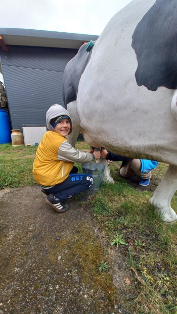 WhatsApp Image 2026-04-22 at 20.27.35(2).jpeg