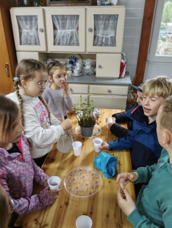 WhatsApp Image 2026-04-22 at 20.25.20.jpeg