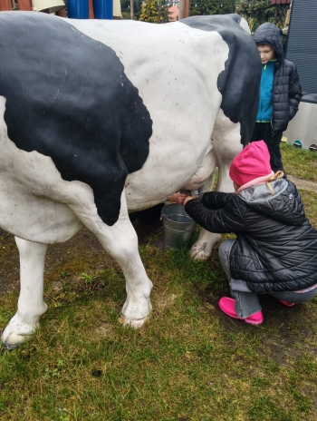 WhatsApp Image 2026-04-22 at 20.25.21(1).jpeg