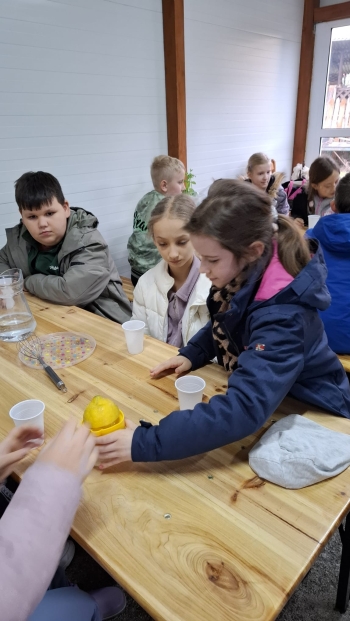 WhatsApp Image 2026-04-22 at 20.19.22.jpeg