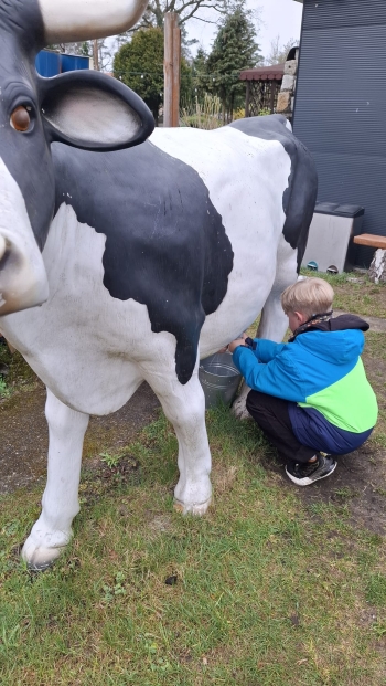 WhatsApp Image 2026-04-22 at 20.19.41.jpeg